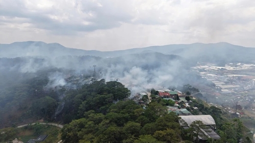 You are currently viewing Cháy rừng thông đầu đèo Prenn, Đà Lạt (Lâm Đồng)