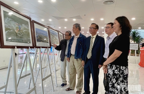 You are currently viewing Đà Nẵng khai mạc Triển lãm nghệ thuật “Đà Nẵng 50 năm – Khát vọng vươn mình”