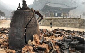 Read more about the article Hàn Quốc thiệt hại 30 di sản văn hóa vì cháy rừng