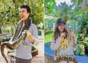 Read more about the article Trại rắn Đồng Tâm Tiền Giang – ‘Vương quốc rắn’ lớn nhất tại miền Tây