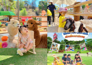 Read more about the article Chăm thú, tham gia workshop cuối tuần tại Gozoo Farm Đất Đỏ Vũng Tàu
